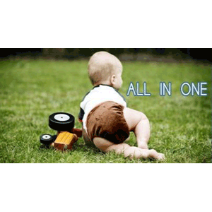 Small bitti d'lish All in One nappies